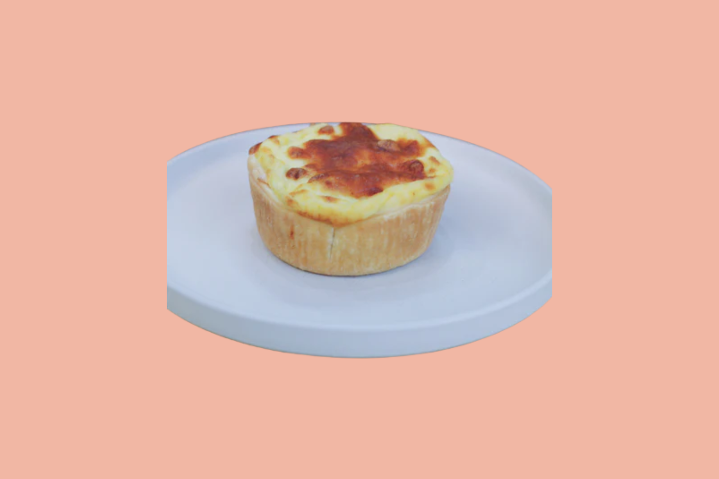 GOURMET PIES